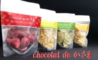 Chocolat de かさま おかしな果実ショコラ ４種セット