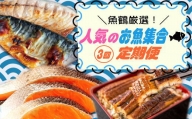 【全3回】魚鶴厳選！人気のお魚集合定期便（さば・銀鮭・うなぎ）【】