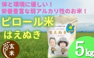 【玄米】九代目又七のピロール農法米はえぬき5kg