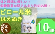 【玄米】九代目又七のピロール農法米はえぬき10kg