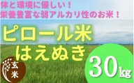 【玄米】九代目又七のピロール農法米はえぬき30kg