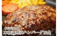 【3回定期便】本格調理済ハンバーグ10食 特製ソース付【001-0198】