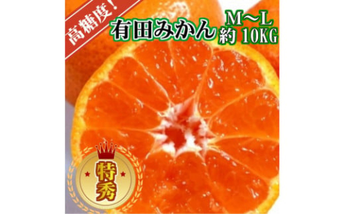 高糖度 有田みかん 特秀品 10kg M～Lサイズ ※10月上旬～12月下旬頃発送予定 【ngt004-p-10ml】