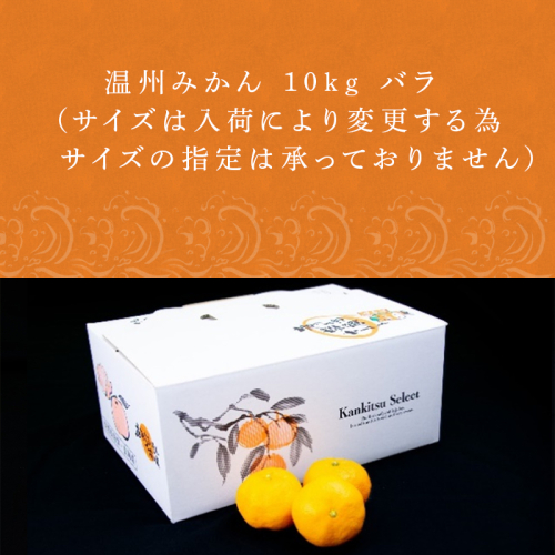 『予約受付』【令和6年10月下旬発送】唐津産 温州みかん 10kg バラ ハウスみかん ミカン 果物 フルーツ