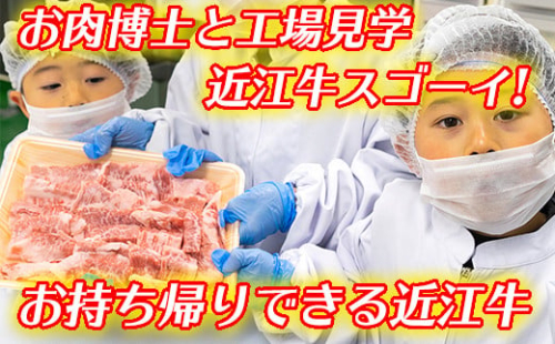 お肉博士と工場見学　近江牛スゴーイ！～お持ち帰りできる近江牛500g付～【CB13W】 1200485 - 滋賀県近江八幡市