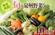 新鮮 野菜セット 詰め合わせ 10種類 国産 旬 お試し おまかせ お楽しみ 099H2491