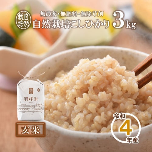 [A017] 【無農薬】【玄米】能登のこだわり自然栽培こしひかり『羽咋米』 ３kg
