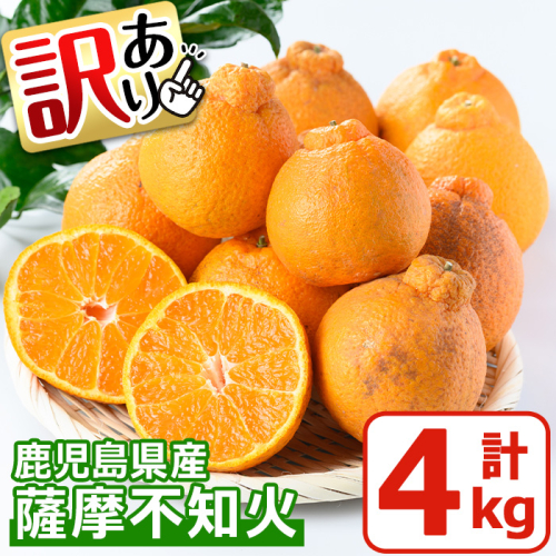No.1089 ＜先行予約受付中！2026年1月中旬～2月下旬までの間に発送＞《訳あり！期間・数量限定》鹿児島県産！薩摩不知火(4kg) みかん 不知火 柑橘 フルーツ 果実 鹿児島 【黒川農園】 1201386 - 鹿児島県日置市