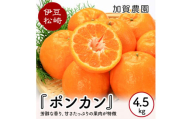 加賀農園 ポンカン 約4.5～5kg