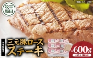 日本の米育ち平田牧場 三元豚ロースステーキ 100g×6（計600g）　T036-012