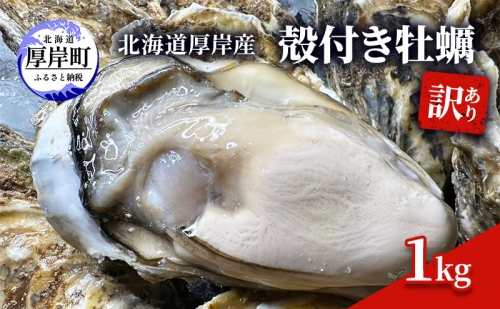 訳あり 北海道 厚岸産 殻付き 牡蠣 1kg 1202036 - 北海道厚岸町