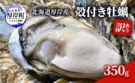 訳あり 北海道 厚岸産 殻付き 牡蠣 350g