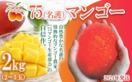 【75マンゴー生産部会】 75（名護）マンゴー　2kg
