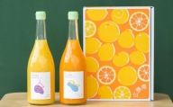 瀬戸内の柑橘100%ストレートジュース旬の大瓶（720ml）2本セット