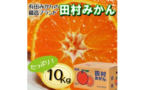 高級みかん秀 田村みかん 約10kg 【2026年1月発送分】【NGT13w】 1202749 - 和歌山県九度山町