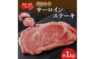 ＜A4～A5＞博多和牛サーロインステーキセット　1kg[250g×4枚]【1168510】