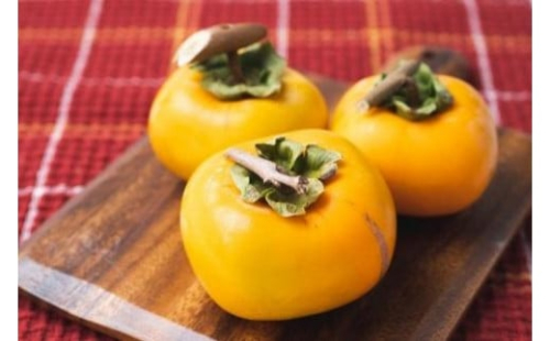 吊るし柿用たね無渋柿T軸又はクリップ付紐付約4.5～5kg　約24～30個＜2026年10月中旬～11月上旬ごろ順次発送＞【ART13】 1202997 - 和歌山県上富田町