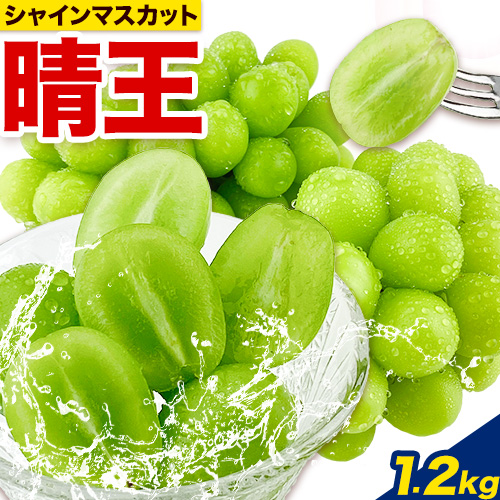 ぶどう 【2026年先行予約】 シャインマスカット 晴王 2房 1.2kg 岡山県産《2026年9月上旬-10月末頃出荷(土日祝除く)》 ハレノフルーツ マスカット 送料無料 岡山県 浅口市 フルーツ 果物 贈り物 ギフト 国産 岡山県産 くだもの 青果物 【配送不可地域あり】 1203002 - 岡山県浅口市
