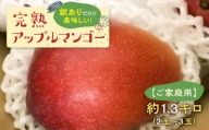 【先行受付】(ご家庭用)美味しい！完熟アップルマンゴー 約1.３キロ　２玉～３玉【７月初旬～８月下旬発送】