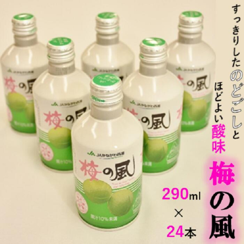 ＪＡかながわ西湘　梅の風（清涼飲料水）　２９０ｍｌ×２４缶 120316 - 神奈川県松田町