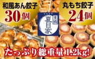 夏目家の『和風あん餃子』30個と『丸もち餃子』24個の食べくらべセット