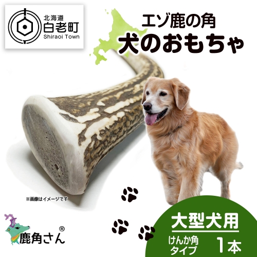 鹿の角 エゾシカ 犬のおもちゃ 『鹿角さん』 大型犬用　けんか角タイプ　１本 1203481 - 北海道白老町