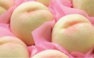 桃 2024年 先行予約 ご家庭用 おかやまの桃 約1.3kg （5～6玉） もも モモ 岡山県産 国産 フルーツ 果物