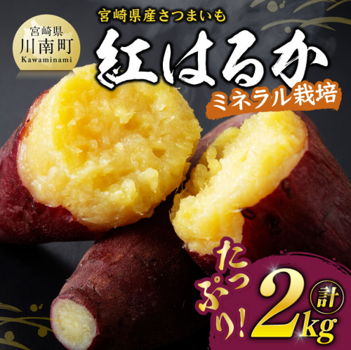 宮崎県産さつまいも　ミネラル栽培　紅はるか 2kg 【 宮崎県産 九州産 いも 芋 サツマイモ 野菜 】 1203842 - 宮崎県川南町