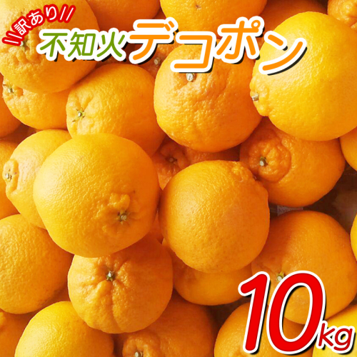 ＼光センサー選別／ 【訳あり】ちょこっと訳あり不知火デコポン 約10kg【ご家庭用】 ※2025年2月中旬より順次発送予定（お届け日指定不可）【nuk121B】 1203859 - 和歌山県新宮市