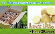 9月・10月配送 北海道壮瞥町産 じゃがいも食べ比べ 各10kg 計20kgお届け