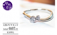 指輪 天然 ダイヤモンド 0.07ct SIクラス【K10WG】r-19（KRP）K9-1411