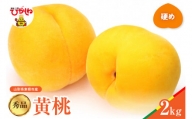 【2024年産　先行予約】黄桃 品種おまかせ 秀品2kg(硬め)　hi004-hi062-013