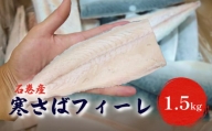 〈 訳あり 〉 石巻産 寒さばフィーレ 無塩 さば フィレ 1.5kg  鯖 切身 焼魚 魚 宮城県