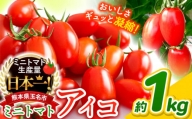 ミニトマト アイコ 約 1kg トマト 熊本 サザキ農園 野菜 ミニトマト 生産量 日本一 玉名市 !!