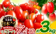 ミニトマト アイコ 約 3kg トマト 熊本 サザキ農園 野菜 ミニトマト 生産量 日本一 玉名市 !!