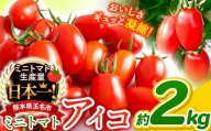 ミニトマト アイコ 約 2kg ｜ 野菜 トマト 熊本 サザキ農園 ミニトマト 生産量 日本一 玉名市 !! くまもと たまな