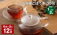 【1ヶ月毎2回定期便】九州産 ごぼう茶 30包 計12袋（6袋×2回）