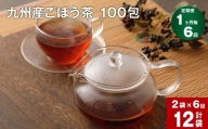 【1ヶ月毎6回定期便】 ごぼう茶 100包 計12袋（2袋×6回） 九州産