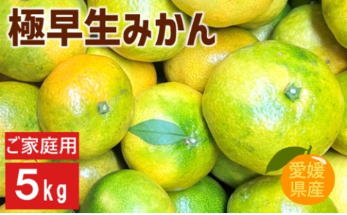 【2026年先行予約】極早生みかん 5kg ご家庭用 【9月下旬以降順次発送予定】 農園直送 数量限定 愛媛県産 人気 柑橘 伊予市｜B226