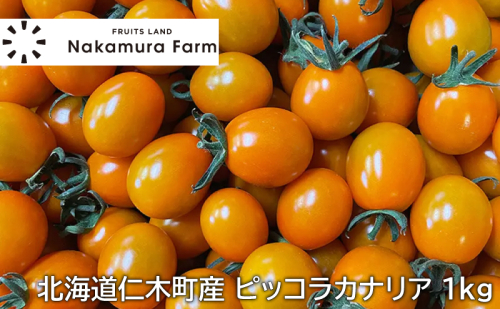 [野菜ソムリエサミット銀賞] この甘さフルーツ級?! ミニトマト 1kg ピッコラカナリア （オレンジ）北海道仁木町産 トマト 野菜 やさい おやつ [3N株式会社] 1204862 - 北海道仁木町