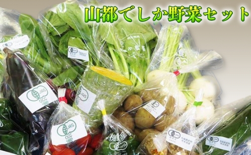 山都でしか野菜セット 120501 - 熊本県山都町