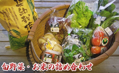 山都の旬！お野菜、お米の詰め合わせ 120527 - 熊本県山都町 | au PAY ふるさと納税