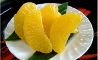 和歌山由良町産 はっさく 約5kg 秀品 サイズおまかせ (Lまたは2L) 八朔 柑橘 果物 くだもの フルーツ