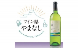 日本ワインの発祥地である山梨県。その北東部に位置する甲州市を中心として一帯に広がるぶどう棚は、日本におけるぶどう栽培の原風景とも呼べるもの。棚栽培は高温多湿な気候に適する仕立て方で、古くから日本で見ら
