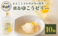 徳島ゆこうゼリー１０個 ゆこう ゆず ダイダイ 果実 果汁 ゆこう果汁 酸味 ゼリー デザート おやつ ゼリーセット YA-34