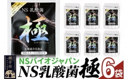 【ふるさと納税】NS乳酸菌「極」(横手市特別パッケージ) 6パック ゆうパケット