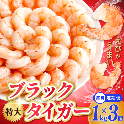 高級むきえび 定期便 1kg×全3回 ブラックタイガー エビ えび 海老 30-40尾 特大 背ワタなし【毎月配送コース】 kgp0113 1209405 - 大阪府泉佐野市