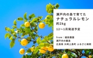 [12〜1月発送] 大崎上島産 越田農園のナチュラルレモン 約2kg