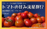 旨みをかじる 瀬戸内の離島のフルーツトマト 約2kg [糖度8度以上] 広島県 大崎上島町