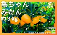 [11〜2月発送] 大崎上島産 糖度が高くて味が濃い！亀ちゃんみかん約3kg